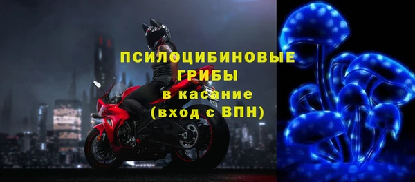 крисы Абдулино