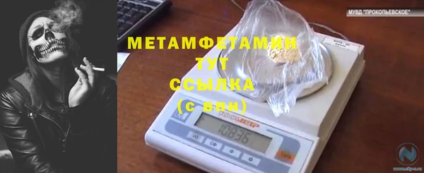 мяу мяу мука Абаза