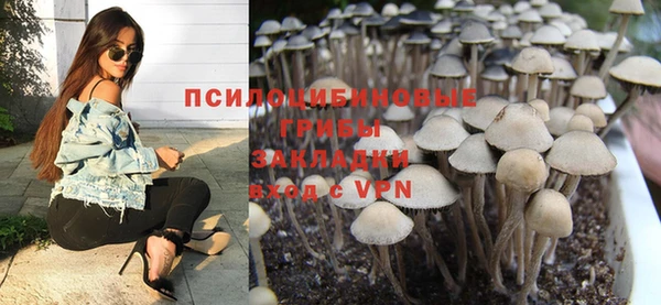 дмт Абинск