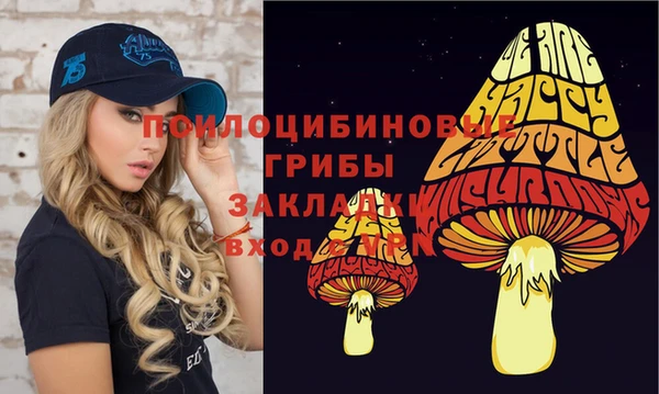 крисы Абдулино