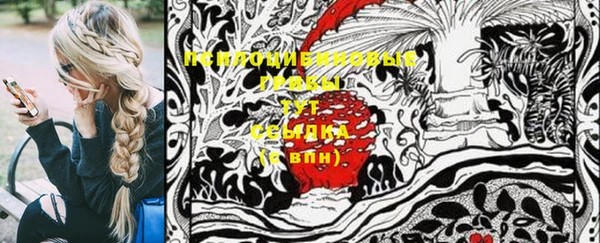 крисы Абдулино