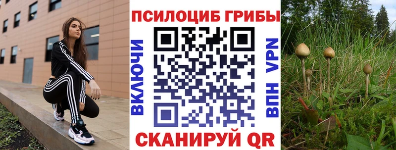 Псилоцибиновые грибы Psilocybe Хабаровск