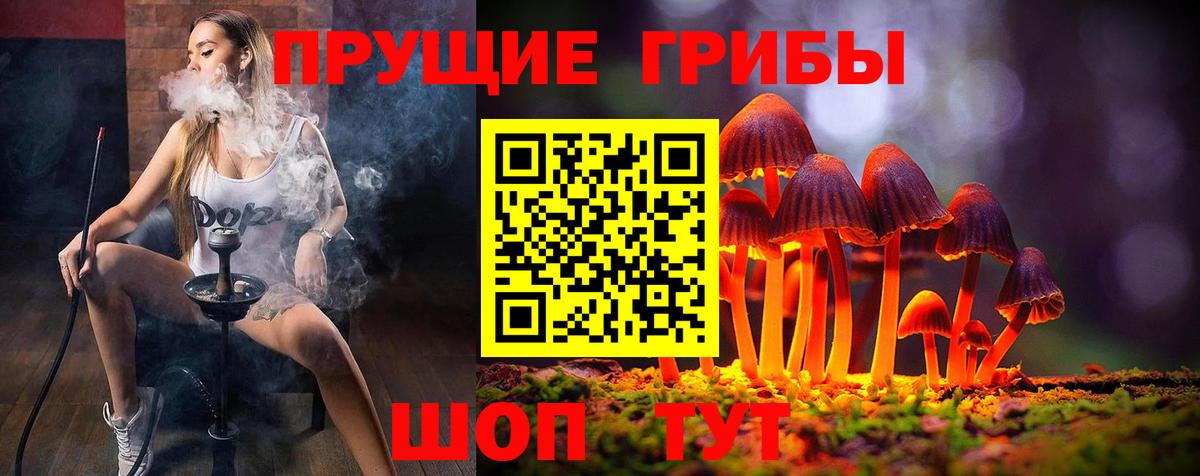 Галлюциногенные грибы мицелий  Псилоцибиновые грибы Psilocybine cubensis  закладка  Хабаровск  Вход с VPN 